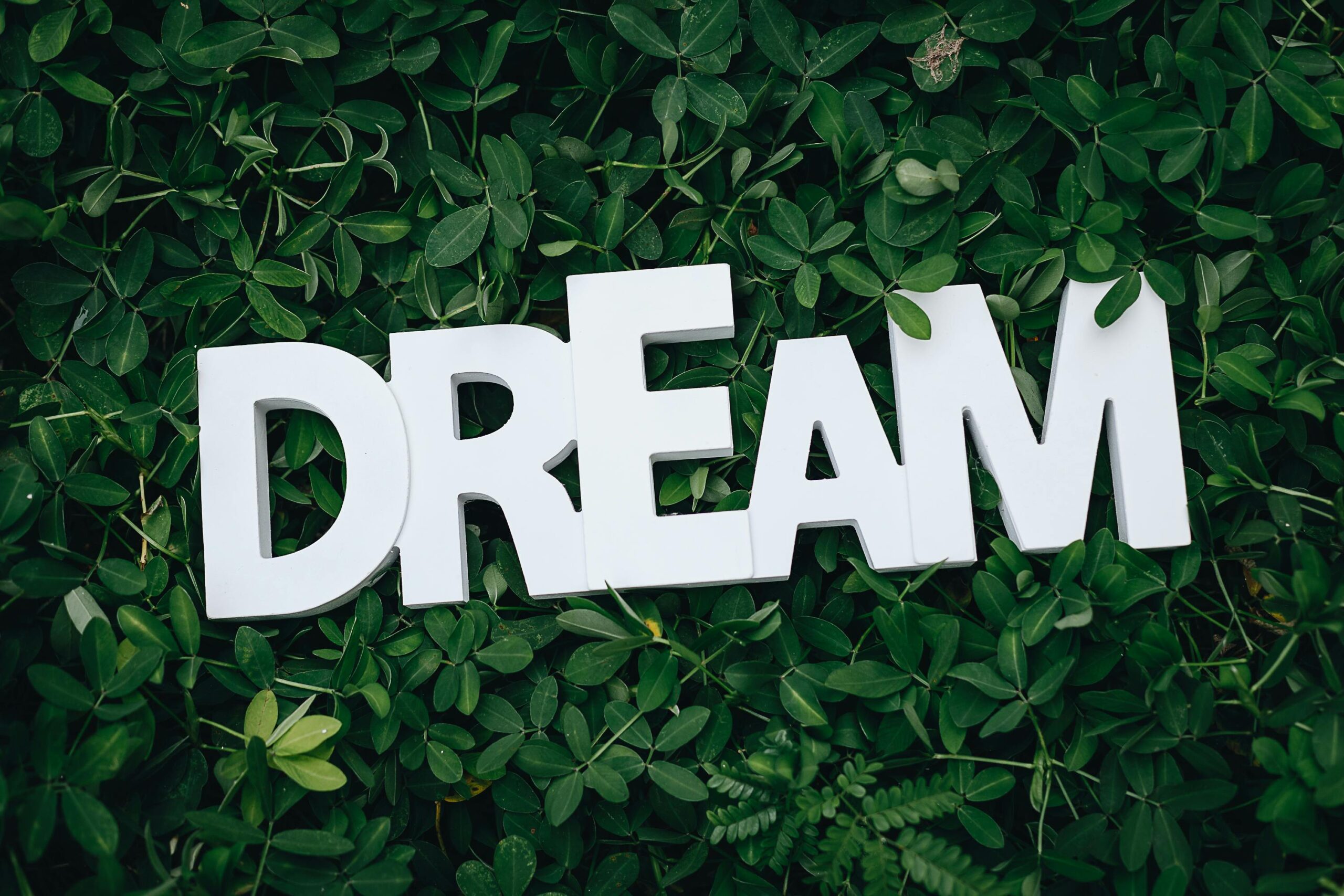 Why You Should Never Give Up On Your Dreams